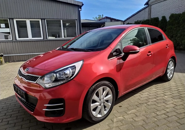 Kia Rio cena 37900 przebieg: 120000, rok produkcji 2016 z Bełżyce małe 326
